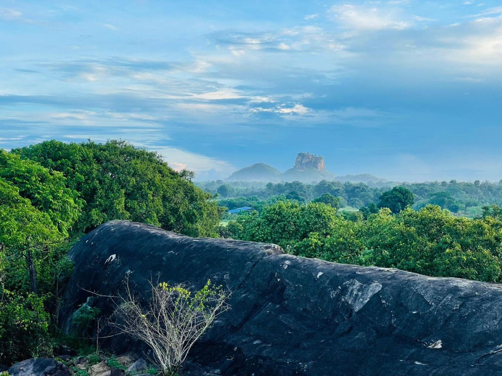 Birdwing Sigiriya Ξενοδοχείο Εξωτερικό φωτογραφία