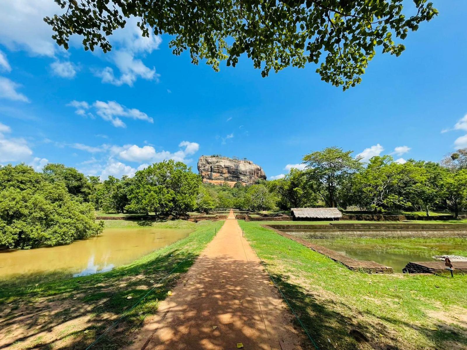 Birdwing Sigiriya Ξενοδοχείο Εξωτερικό φωτογραφία